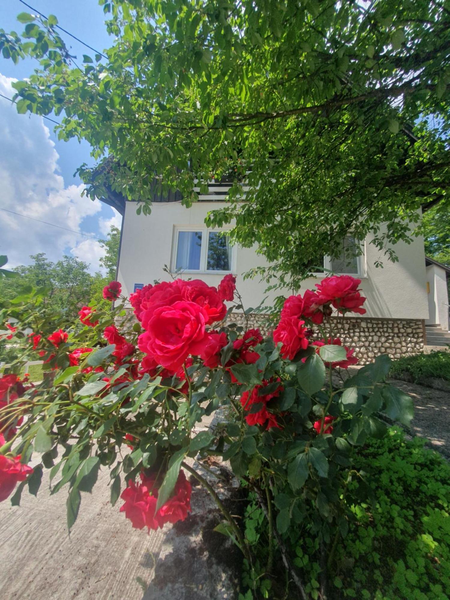 Guesthouse Nikola Плитвицкие озёра Экстерьер фото