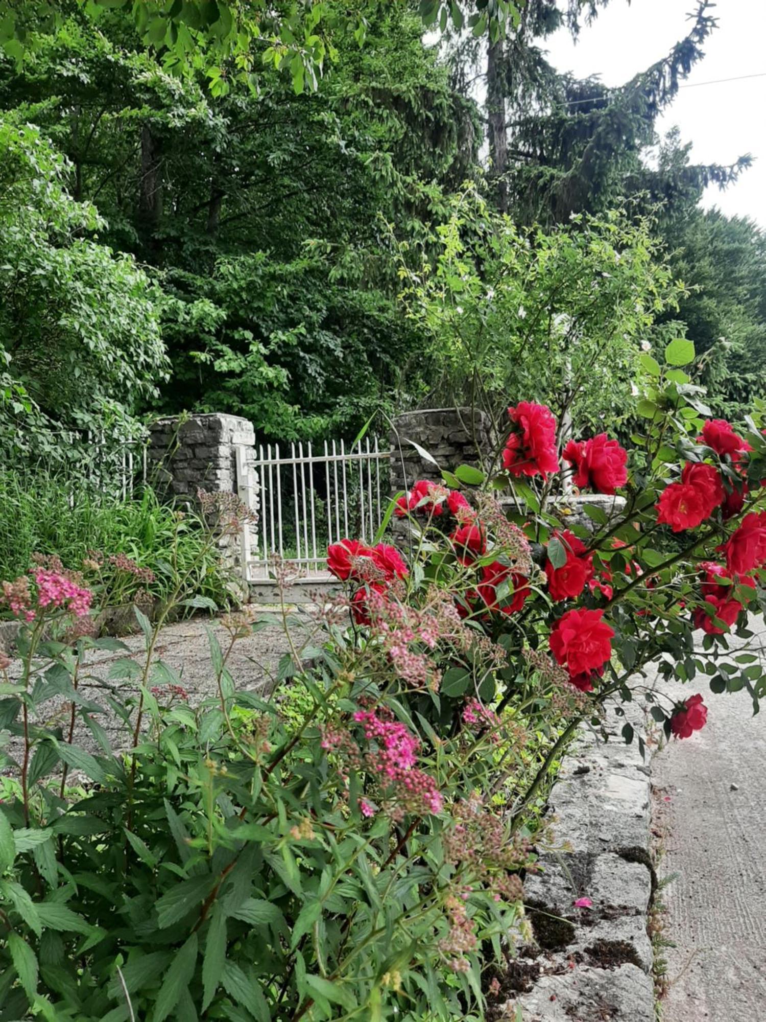 Guesthouse Nikola Плитвицкие озёра Экстерьер фото